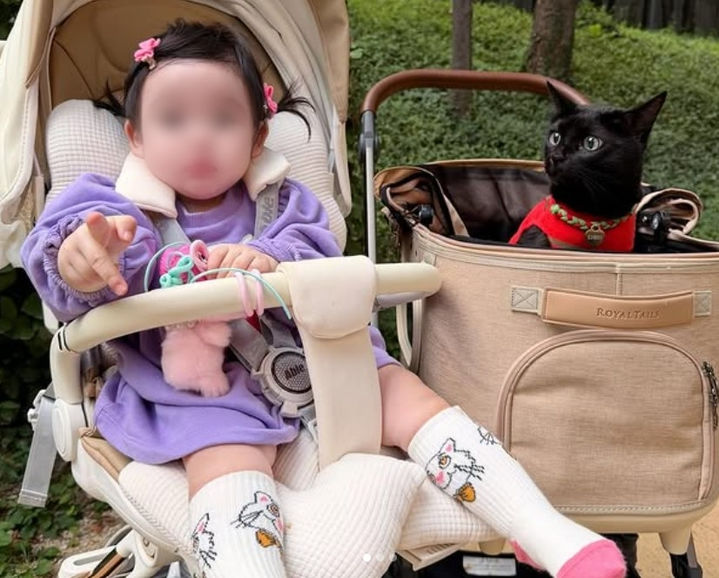 [서울=뉴시스] 개그맨 박수홍이 딸 재이 양, 반려묘 다홍이와의 일상을 공개했다. (사진=박수홍 인스타그램 캡처) 2025.10.28. photo@newsis.com *재판매 및 DB 금지