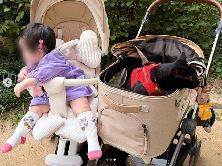 [서울=뉴시스] 개그맨 박수홍이 딸 재이 양, 반려묘 다홍이와의 일상을 공개했다. (사진=박수홍 인스타그램 캡처) 2025.10.28. photo@newsis.com *재판매 및 DB 금지