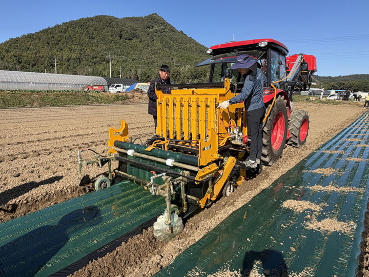 [고흥=뉴시스] 전남 고흥군 동강면 마곡리 일원에서 마늘 기계화 파종 연시회가 열리고 있다. (사진=고흥군 제공) 2025.10.28. photo@newsis.com *재판매 및 DB 금지