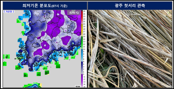 [광주=뉴시스] 광주 올가을 첫 서리 관측. (사진=광주기상청 제공) 2025.10.29. photo@newsis.com *재판매 및 DB 금지