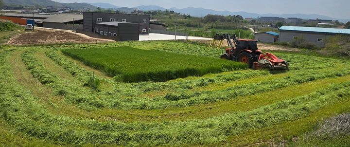 [청주=뉴시스] 청주 조사료 전문단지. (사진=뉴시스 DB). photo@newsis.com *재판매 및 DB 금지