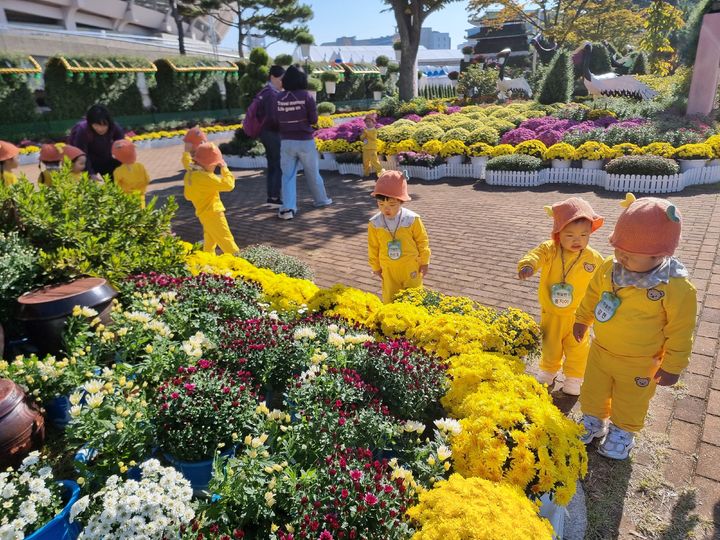 [진주=뉴시스]진주시, 국화작품전시회 모습.(사진=진주시 제공).2025.10.29.photo@newsis.com *재판매 및 DB 금지
