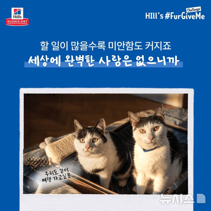 [펫과함께] "미안함을 사랑으로 채워요"…힐스, 반려인 공감 캠페인