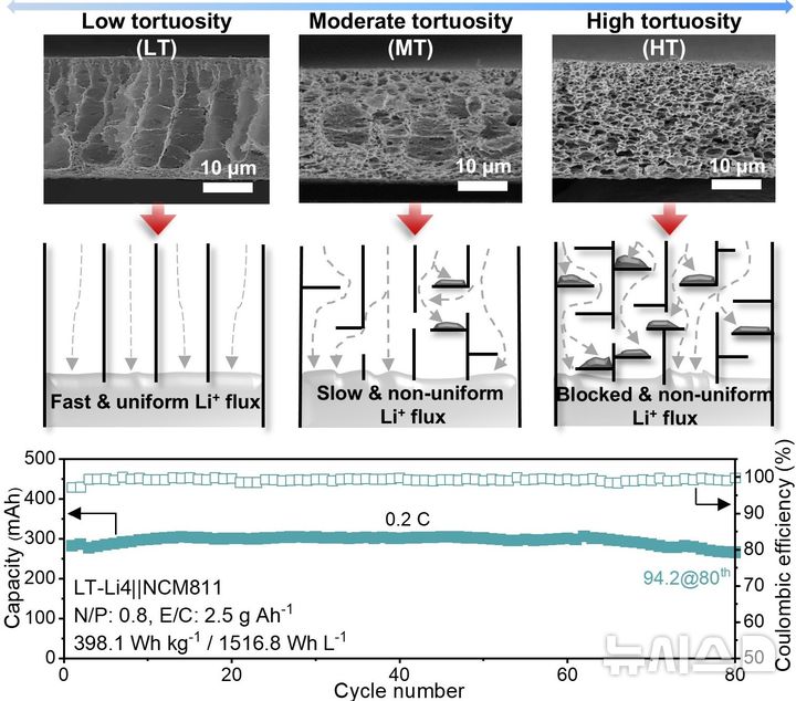[포항=뉴시스] 송종욱 기자 = 포스텍·중앙대 공동 연구팀이 전기차 리튬금속 배터리 수명과 폭발 화재를 막는 3차원 다공성 구조체를 개발했다. 사진은 곡도에 따른 구조체 형상과 리튬 전착 모식도 및 저굴곡도 구조체를 사용한 파우치셀 성능 그래프. (사진=포스텍 제공) 2025.10.29. photo@newsis.com