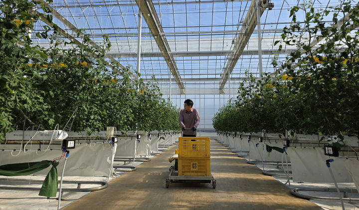 [남원=뉴시스] 29일 남원시 농업기술센터가 전북자치도 공모 '2026년 청년창업 스마트팜 패키지 지원사업'에 관내 5개소가 선정돼 총 22억원의 사업비를 확보했다고 밝혔다. 남원의 한 청년창업 스마트팜 농장. *재판매 및 DB 금지