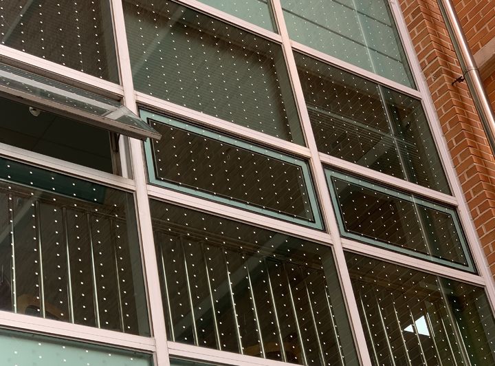 [광명=뉴시스]광명 충현중학교 1학년 학생들이 유리창에 조류충돌 방지 테이프를 부착했다.(사진=광명교육지원청 제공)2025.10.29.photo@newsis.com *재판매 및 DB 금지