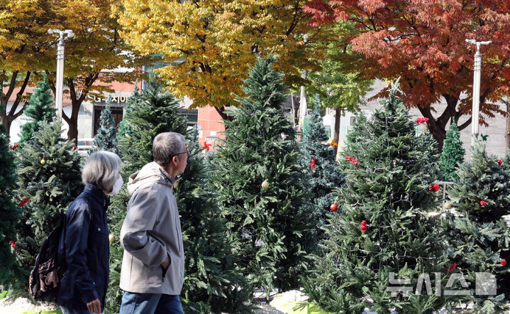 [인천=뉴시스] 전진환 기자 = 29일 인천 남동구 인천시청 애뜰광장에 크리스마스 트리가 설치되고 있다. 2025.10.29. amin2@newsis.com