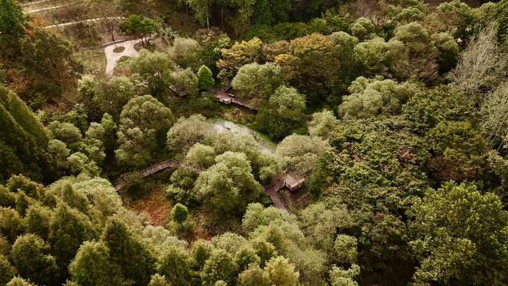 [수원=뉴시스] 물향기수목원 무장애 나눔길. (사진=경기도 제공) 2025.10.30. photo@newsis.com *재판매 및 DB 금지