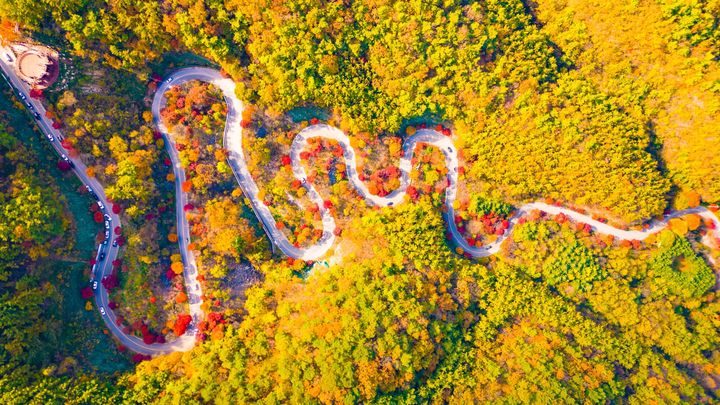 가을 단풍 내려앉은 단양 보발재(사진=단양군 제공) *재판매 및 DB 금지