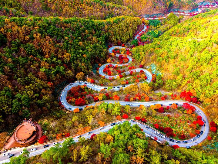 가을 단풍 내려앉은 단양 보발재(사진=단양군 제공) *재판매 및 DB 금지