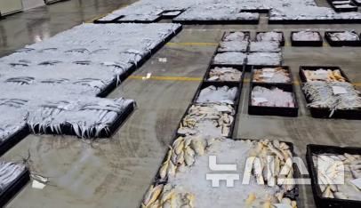 [서울=뉴시스] 플라스틱 어상자 사용.