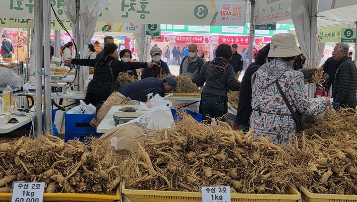 축제 첫날 축제장의 안삼 판매장의 붐비는 모습. syi23@newsis.com *재판매 및 DB 금지