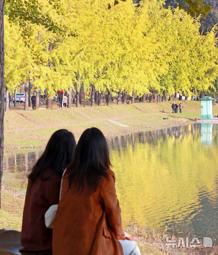 [괴산=뉴시스] 30일 충북 괴산군 양곡저수지에서 시민들이 노랗게 물든 은행나무길을 바라보고 있다. (사진= 괴산군 제공) 2025.10.30. photo@newsis.com *재판매 및 DB 금지