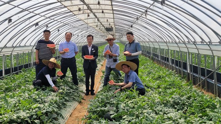 [세종=뉴시스] 한국농업기술진흥원(농진원)은 전남대학교와 함께 '2025년 농업기술 산학협력지원' 사업을 추진하고 있다고 30일 밝혔다. 사진은 미생물농법을 적용한 시설수박농가 실증현장. (사진=농진원 제공) 2025.10.30. photo@newsis.com *재판매 및 DB 금지
