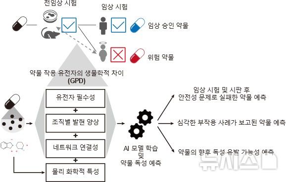 [포항=뉴시스] 송종욱 기자 = 포스텍이 인공지능(AI)을 이용해 사람에게 나타날 약물 부작용을 예측하는 기술을 개발했다. 사진은 전임상 모델과 사람 사이의 약물 작용 유전자의 생물학적 차이(GPD)에 기반한 약물 독성 예측 기계 학습 모델 프레임워크. (사진=포스텍 제공) 2025.10.30. photo@newsis.com
