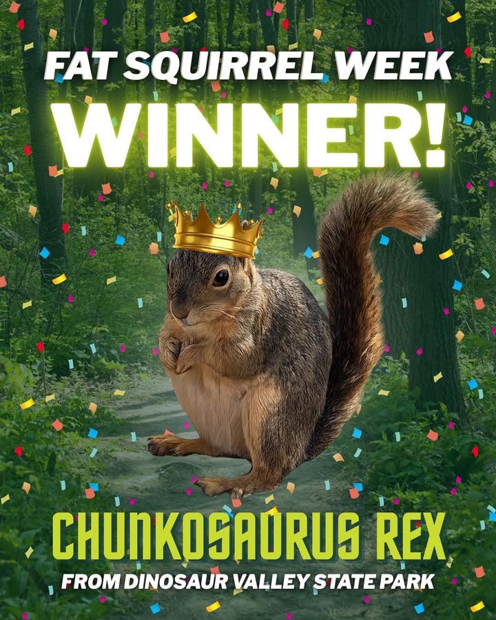 [뉴시스] 올해의 뚱보 다람쥐로 선정된 '렉스' (사진=Texas Parks and Wildlife 페이스북 캡처) *재판매 및 DB금지 *재판매 및 DB 금지