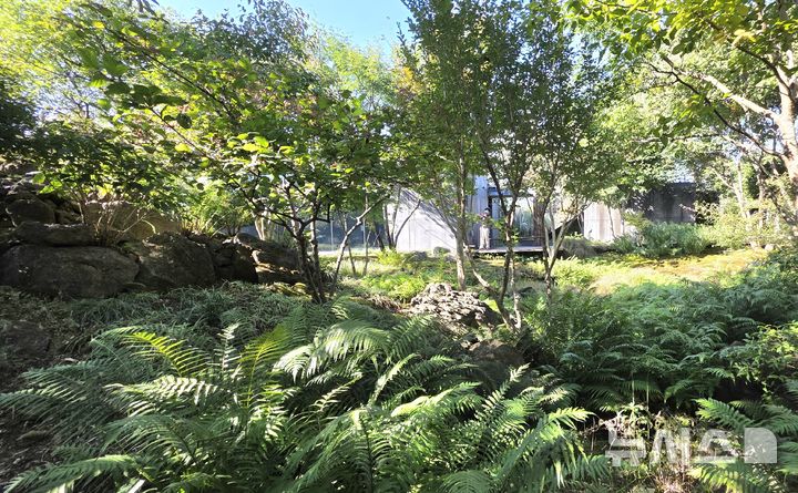 [제주=뉴시스] 임재영 기자 = 자연주의 정원의 대표 주자인 제주 서귀포시 베케정원의 24일 오후 모습이다. 이 정원에는 제주 사람들이 밭을 일구고, 과수원을 만들었던 이야기가 담겨있다. 2025.10.31. ijy788@newsis.com