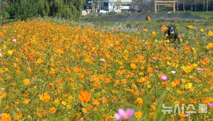 울산 주말 대체로 맑음…강풍 주의