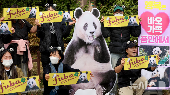 [경주=뉴시스] 이무열 기자 = 30일 경북 경주시 황남동 내남네거리에서 열린 푸바오의 사육환경 개선을 요구하는 기자회견에서 '푸바오구출대작전' 회원들이 "푸바오 돌아와"를 외치고 있다. 2025.10.30. lmy@newsis.com