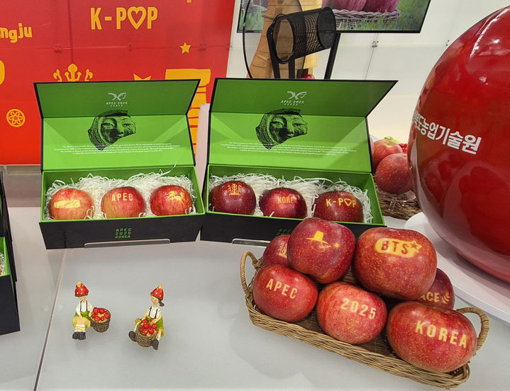 [문경=뉴시스] APEC 정상회의에 납품된 '문경 감홍 문자사과' (사진=문경시 제공) 2025.10.31. photo@newsis.com *재판매 및 DB 금지