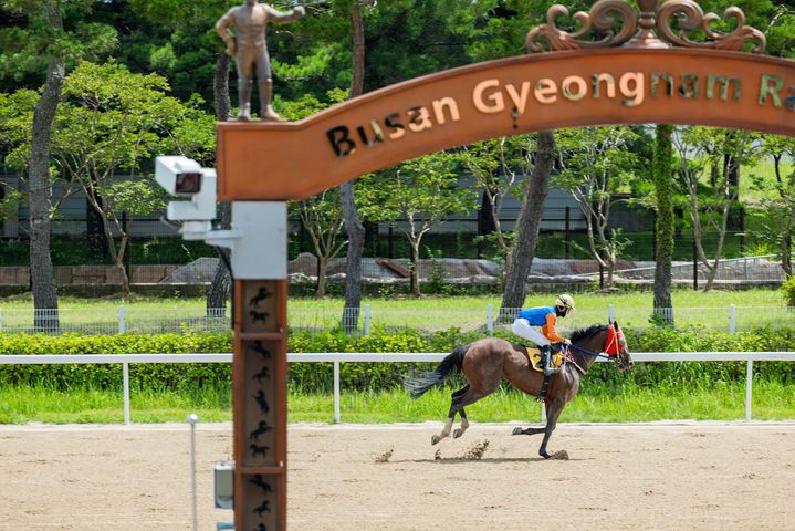 [부산=뉴시스] 렛츠런파크 부산경남 경마모습. (사진=한국마사회 부산경남지역본부 제공) 2025.10.31. photo@newsis.com *재판매 및 DB 금지