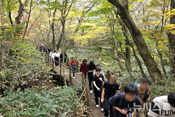 [제주=뉴시스] 30일 관광객들이 단풍이 막 들기 시작한 제주 한라산 성판악 탐방로를 오르고 있다. (사진=뉴시스DB) 2025.10.31. photo@newsis.com&nbsp; *재판매 및 DB 금지