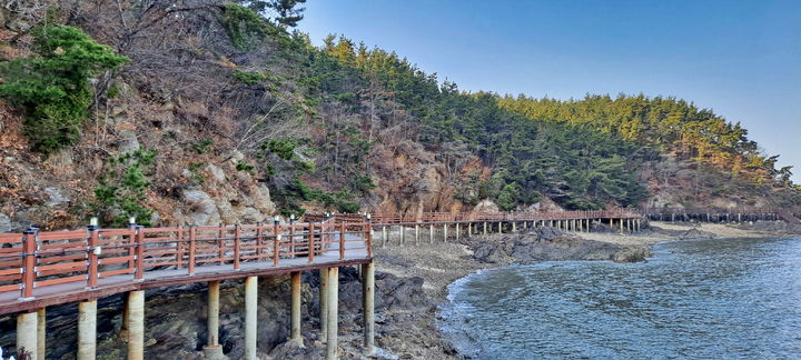 [태안=뉴시스] 충남 태안 솔향기길에 설치된 데크. (사진=태안군 제공) 2025.10.31. photo@newsis.com *재판매 및 DB 금지