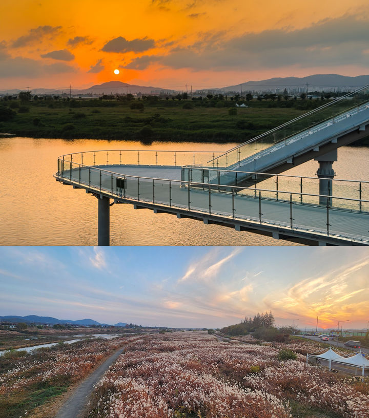 [광주=뉴시스] 서창감성조망대, 억새밭. (사진=광주시청 제공). photo@newsis.com *재판매 및 DB 금지
