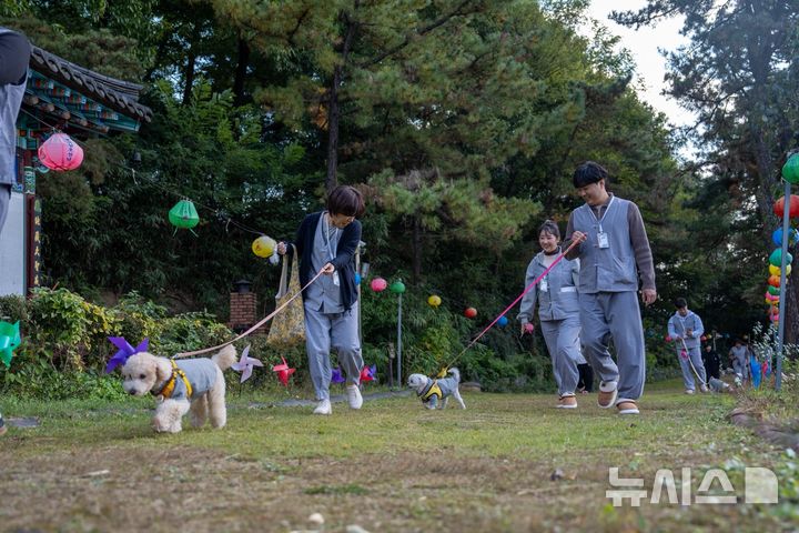 [증평=뉴시스] 1일 충북 증평군 미륵사에서 댕플스테이가 진행되고 있다. (사진= 증평군 제공) 2025.10.01. photo@newsis.com *재판매 및 DB 금지
