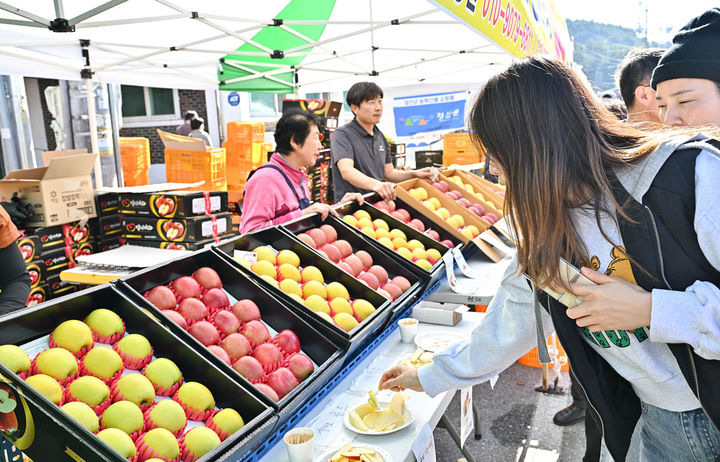 지난해 개최된 정선사과축제 모습.(사진=정선군 제공) *재판매 및 DB 금지