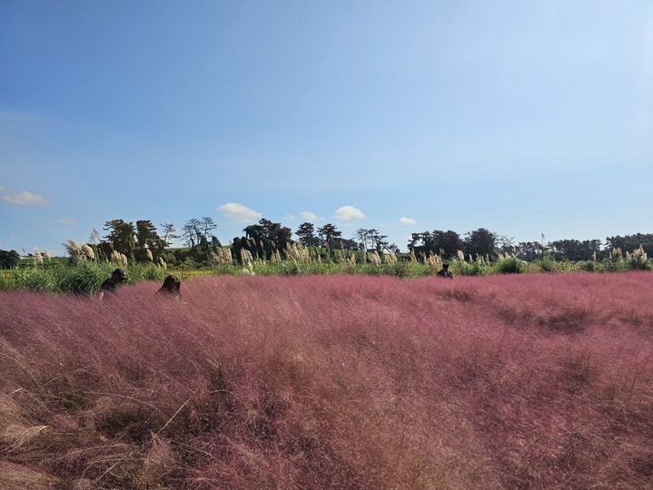 대전·세종·충남 일부 지역 한파주의보…아침 최저 -3도