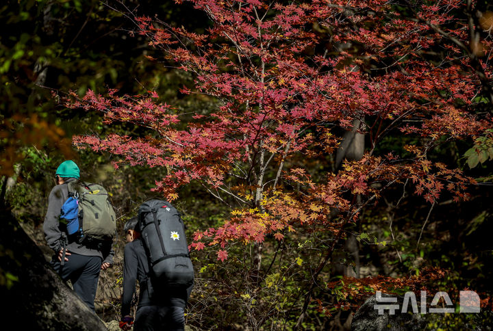 인천, 오전 흐리고 예년보다 포근…오후부터 찬바람
