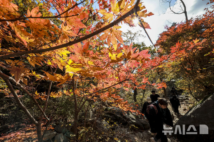 [서울=뉴시스] 정병혁 기자 = 완연한 가을 날씨를 보인 2일 서울 강북구 북한산국립공원 백운대 코스를 찾은 등산객들이 물든 단풍 아래를 걸으며 산을 오르고 있다. 2025.11.02. jhope@newsis.com