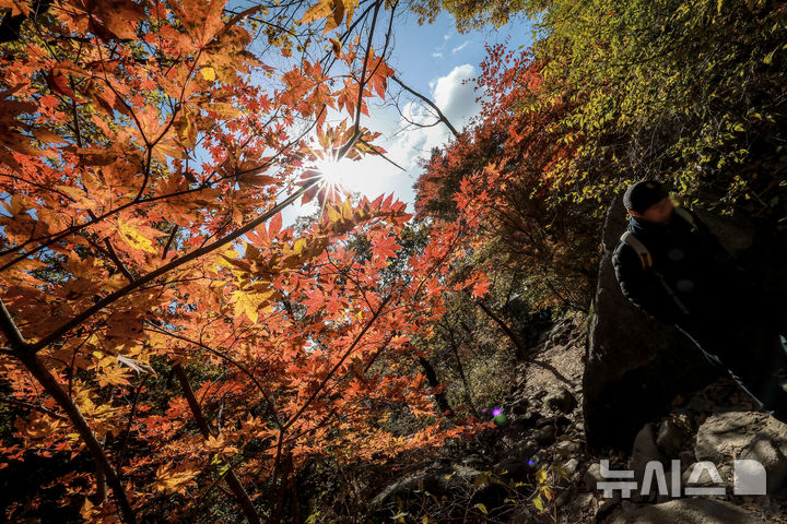 [서울=뉴시스] 정병혁 기자 = 완연한 가을 날씨를 보인 2일 서울 강북구 북한산국립공원 백운대 코스를 찾은 등산객들이 물든 단풍 아래를 걸으며 산을 오르고 있다. 2025.11.02. jhope@newsis.com