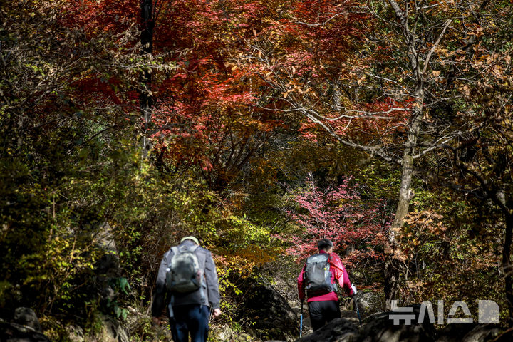 [서울=뉴시스] 정병혁 기자 = 완연한 가을 날씨를 보인 2일 서울 강북구 북한산국립공원 백운대 코스를 찾은 등산객들이 물든 단풍 아래를 걸으며 산을 오르고 있다. 2025.11.02. jhope@newsis.com