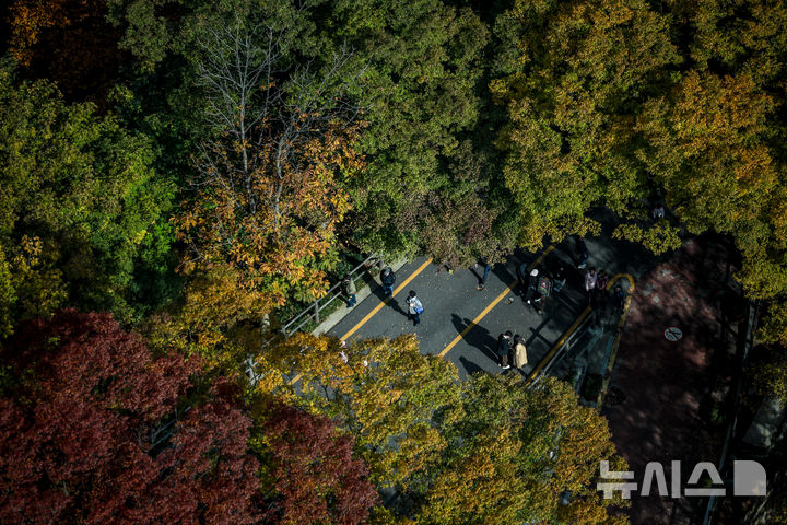 [서울=뉴시스] 정병혁 기자 = 완연한 가을 날씨를 보인 2일 서울 중구 남산에 단풍이 물들어 있다. 2025.11.02. jhope@newsis.com