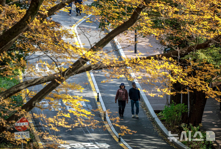 [서울=뉴시스] 정병혁 기자 = 완연한 가을 날씨를 보인 2일 서울 중구 남산을 찾은 시민들이 물든 단풍 아래를 걸으며 가을 정취를 느끼고 있다. 2025.11.02. jhope@newsis.com
