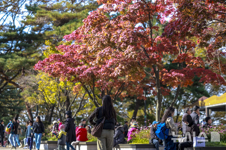 [서울=뉴시스] 정병혁 기자 = 서울 중구 남산을 찾은 시민들이 물든 단풍 아래를 걸으며 가을 정취를 느끼고 있다. 2025.11.02. jhope@newsis.com