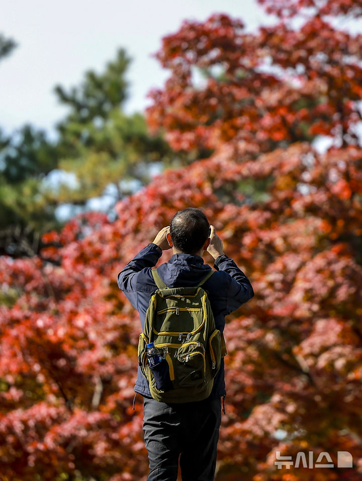 [서울=뉴시스] 정병혁 기자 = 완연한 가을 날씨를 보인 2일 서울 중구 남산을 찾은 여행객이 물든 단풍을 사진으로 담고 있다. 2025.11.02. jhope@newsis.com