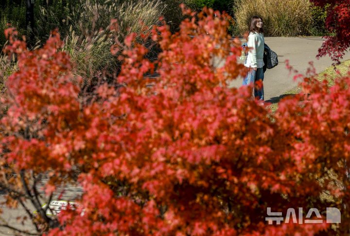 대구·경북, 구름 많고 곳곳 빗방울…동해안 강풍 주의