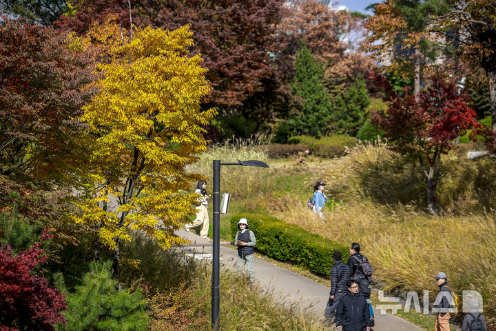 [서울=뉴시스] 정병혁 기자 = 완연한 가을 날씨를 보인 2일 서울 중구 백범광장을 찾은 시민들이 물든 단풍 아래를 걸으며 가을 정취를 느끼고 있다. 2025.11.02. jhope@newsis.com