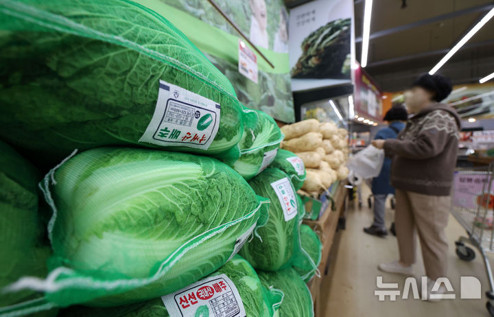 [서울=뉴시스] 김선웅 기자 = 올해 배추·무 등 주요 김장재료 가격이 지난해보다 10% 줄어든 것으로 나타났다. 2025.11.02. mangusta@newsis.com