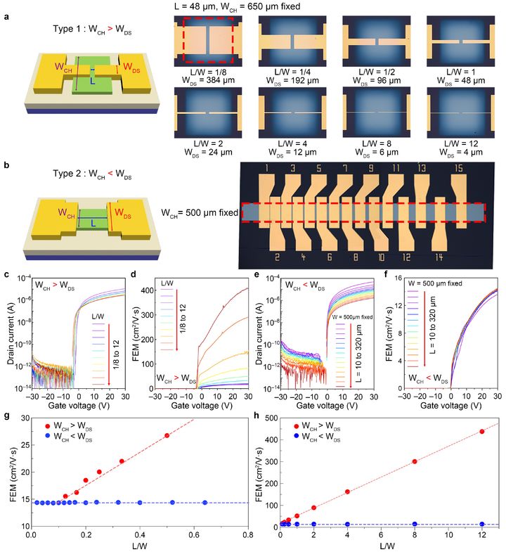 [울산=뉴시스] 구미현 기자 = 울산과학기술원(UNIST)은 반도체소재·부품대학원 김정환·정창욱 교수팀이 반도체 소자의 주요 성능 지표인 ‘전계 효과 전하 이동도(Field-Effect Mobility)’가 소자 구조에 따라 실제보다 최대 30배까지 부풀려져 측정될 수 있음을 규명했다고 3일 밝혔다. 채널과 전극 구조별 박막 트랜지스터(TFT)의 전하 이동도 비교. (UNIST 제공) photo@newsis.com *재판매 및 DB 금지