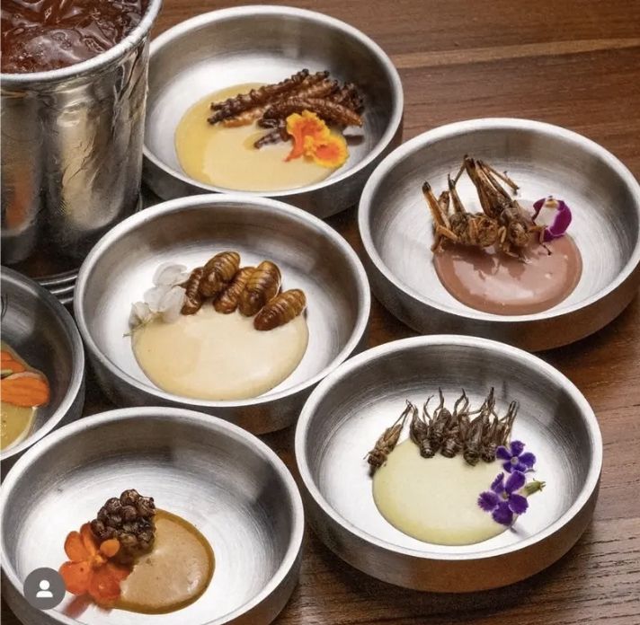 [서울=뉴시스]태국 방콕 곤충 바 '택스'에서 판매하는 곤충 안주. (사진출처: 마이니치신문 캡처) 2025.11.03.