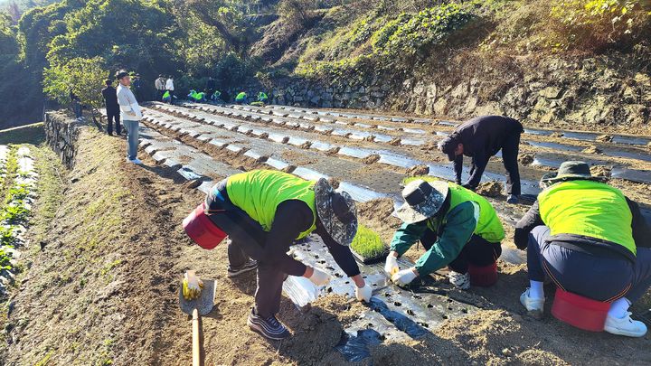 [울산=뉴시스] *재판매 및 DB 금지