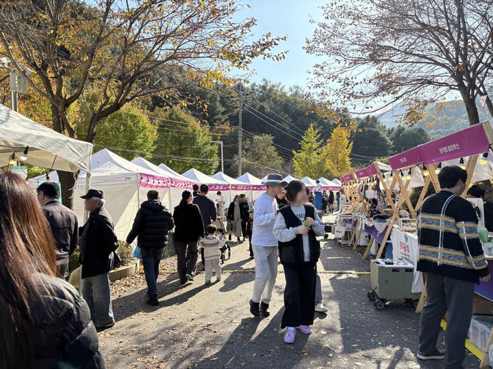 남양주 캠핑페스티벌 현장에서 운영된 플리마켓.과 체험부스. (사진=남양주시 제공) photo@newsis.com *재판매 및 DB 금지
