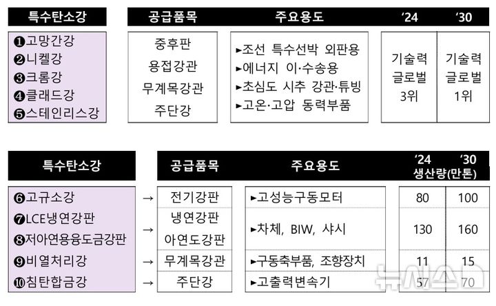 [세종=뉴시스]미래유망 기술 개발도 적극 지원한다. 정부는 연내 특수탄소강 연구개발(R&D) 로드맵을 수립하고 오는 2030년까지 10개의 특수탄소강을 개발하는데 2000억원 규모의 예산을 투입한다.(사진=산업부 자료 캡쳐)
