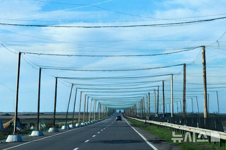 [AP/뉴시스] 3일 우크라 헤르손시 모습으로 도로 위에 드론 방어망이 길게 쳐진 길을 자동차가 달리고 있다