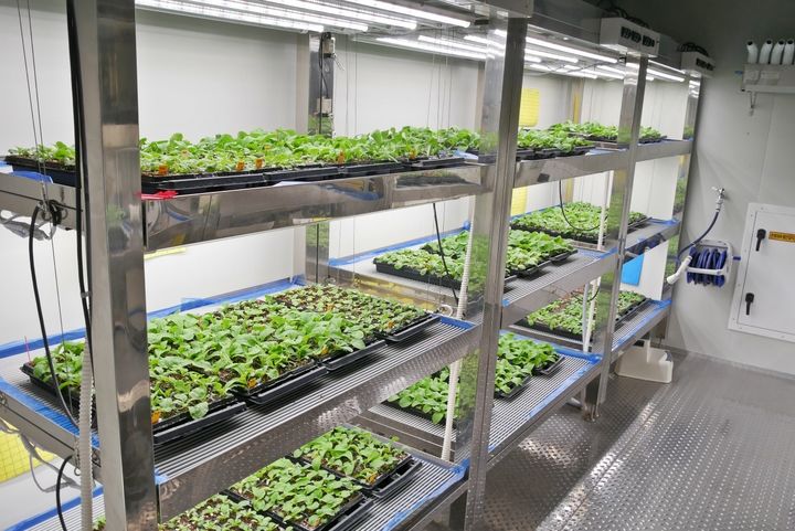 첨단 병리검정 시스템. (사진=NH농우바이오) *재판매 및 DB 금지