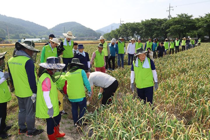 [대구=뉴시스]대구시가 2024년 시행한 농촌 일손돕기 행사(사진=대구시 제공) 2025.11.04 photo@newsis.com *재판매 및 DB 금지
